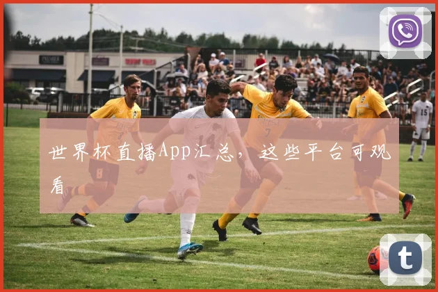 世界杯直播App汇总，这些平台可观看