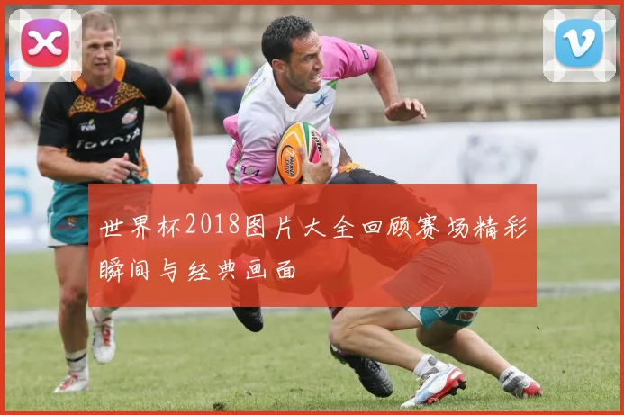 世界杯2018图片大全回顾赛场精彩瞬间与经典画面